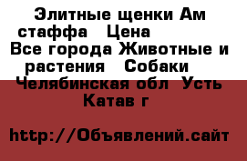 Элитные щенки Ам.стаффа › Цена ­ 25 000 - Все города Животные и растения » Собаки   . Челябинская обл.,Усть-Катав г.